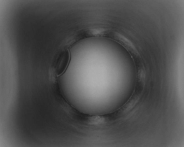 X0000100750421200806261548