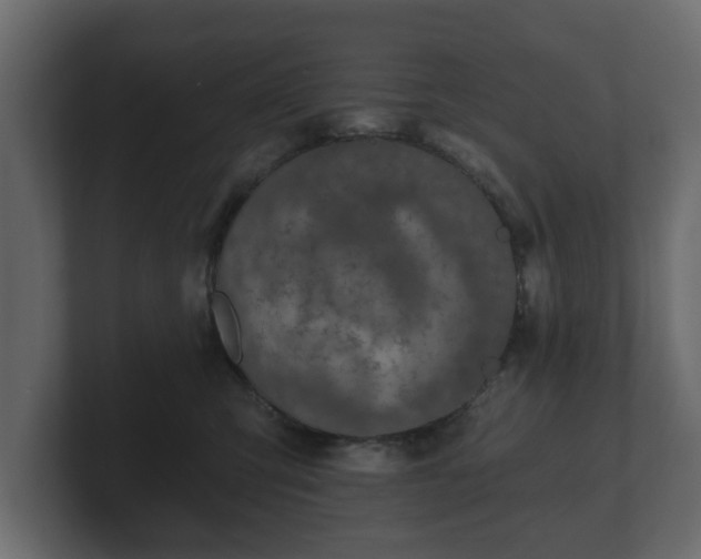 X0000100750423200806261548