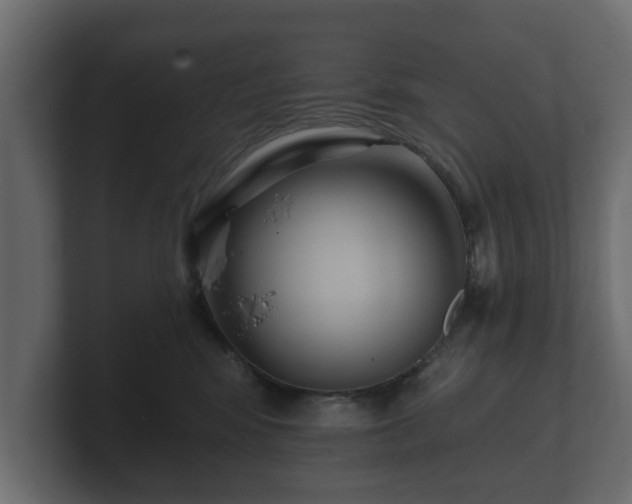 X0000100750424200806261548