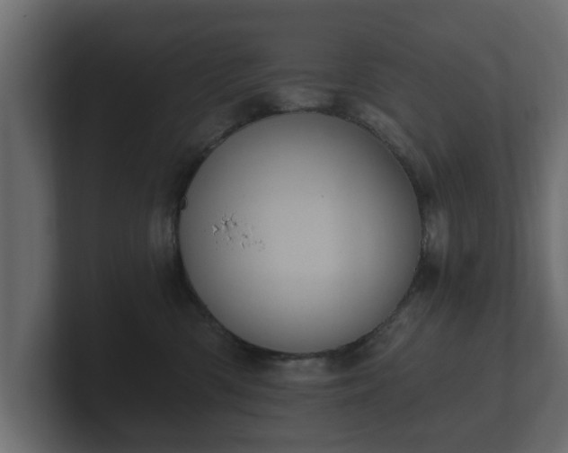 X0000100750426200806261548