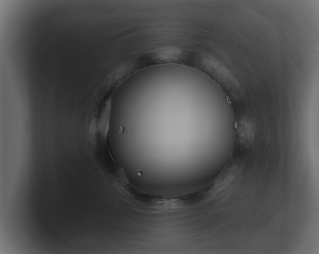 X0000100750428200806261548