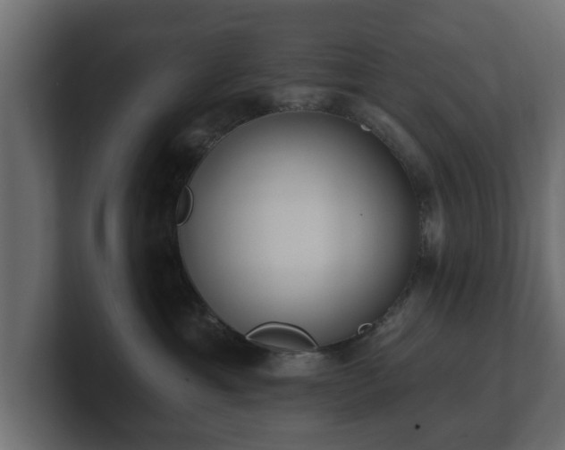 X0000100750429200806261548