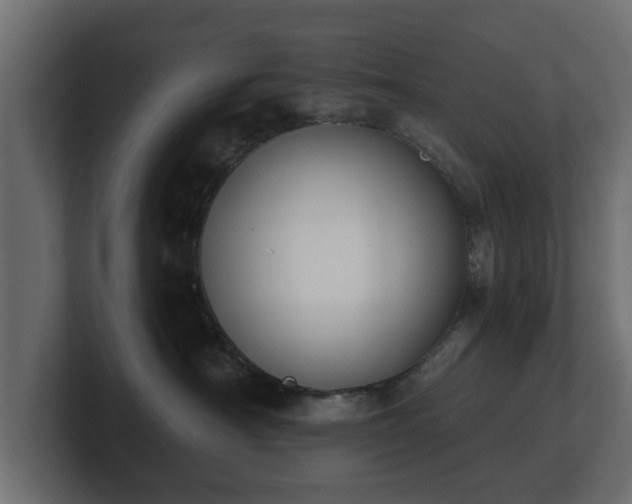 X0000100750430200806261548