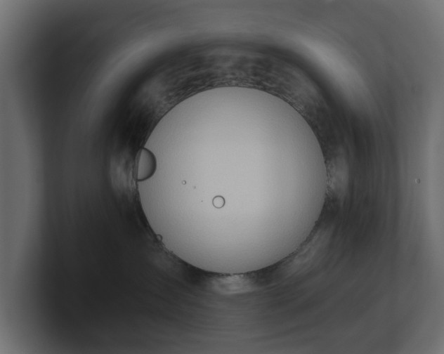 X0000100750431200806261547