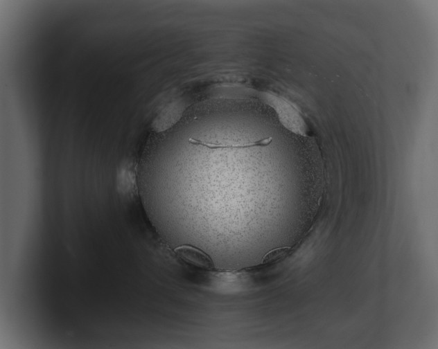 X0000100750432200806261547