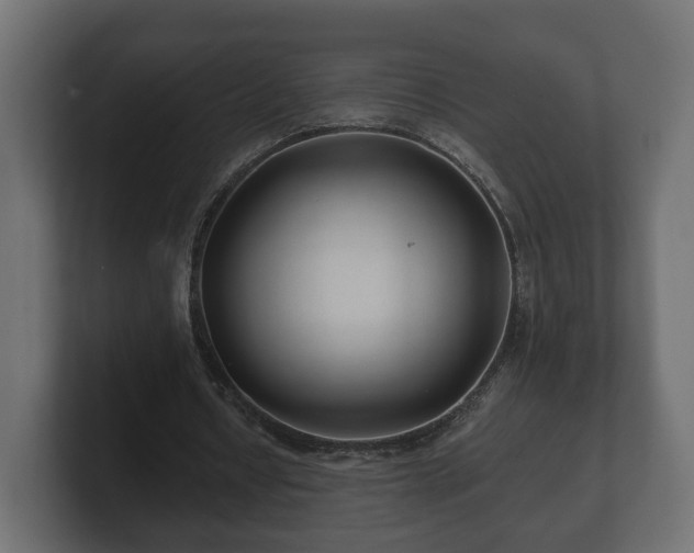 X0000100750434200806261547