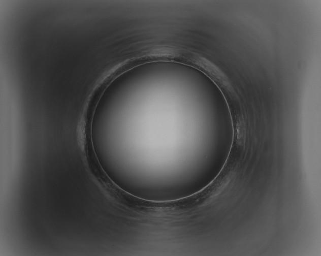 X0000100750436200806261547