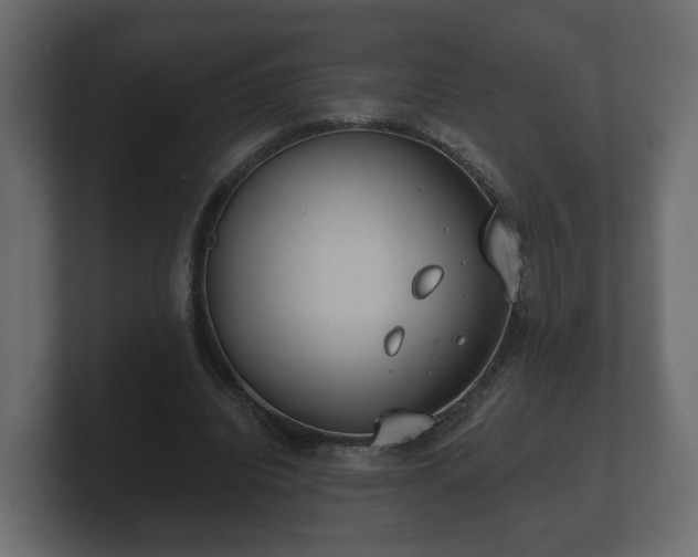 X0000100750440200806261547