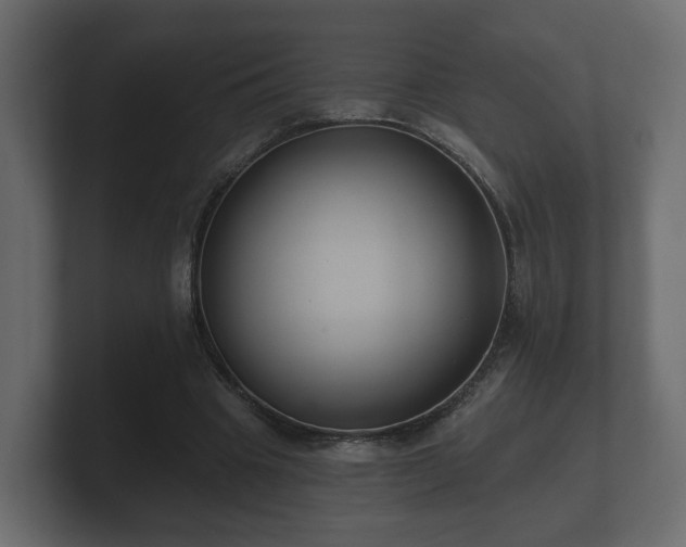 X0000100750441200806261547