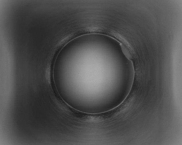 X0000100750442200806261547