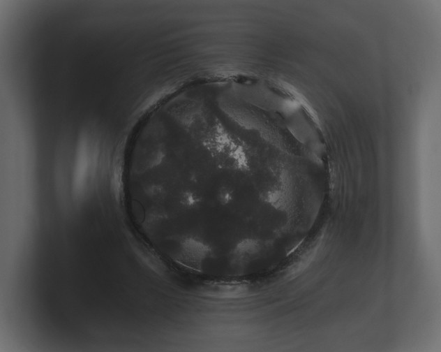 X0000100750443200806261547