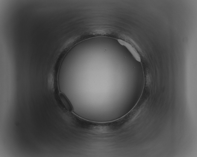 X0000100750444200806261547