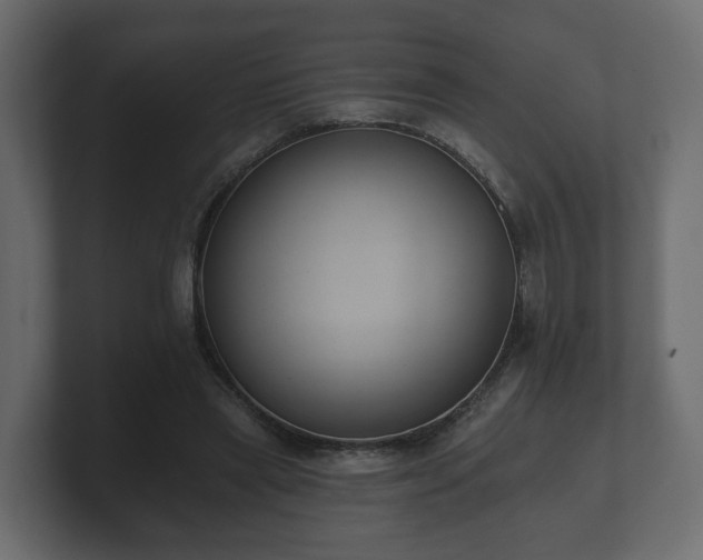 X0000100750445200806261547