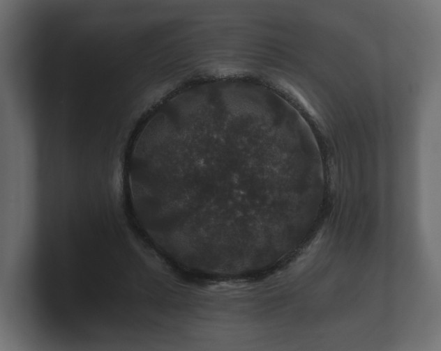 X0000100750447200806261547