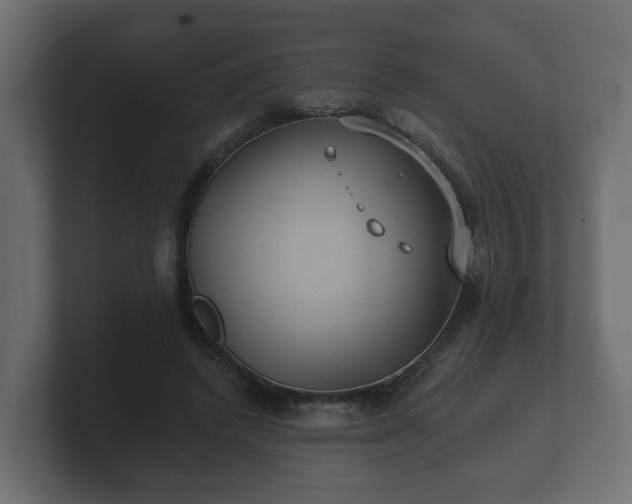 X0000100750448200806261547