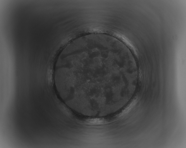 X0000100750449200806261547