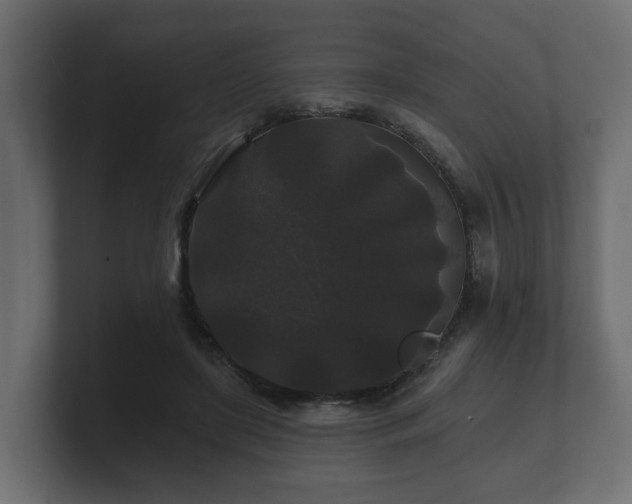 X0000100750451200806261547