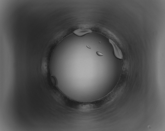 X0000100750452200806261547