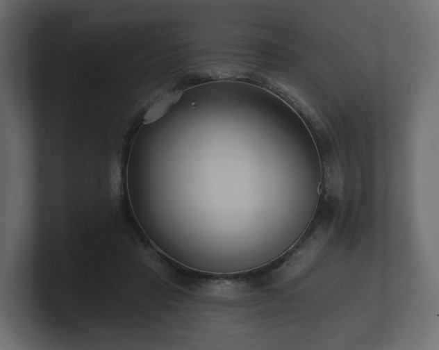 X0000100750453200806261547