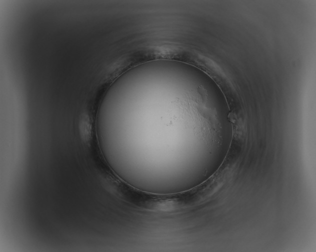 X0000100750456200806261547