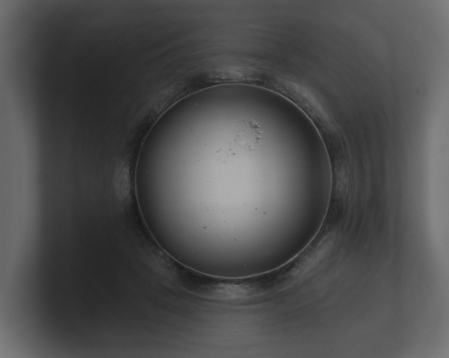 X0000100750457200806261547