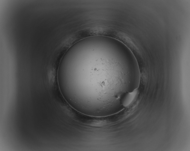 X0000100750458200806261547