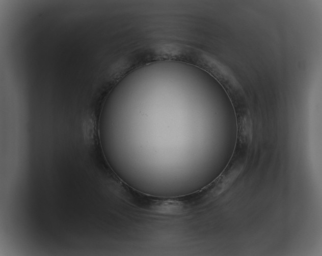 X0000100750463200806261547