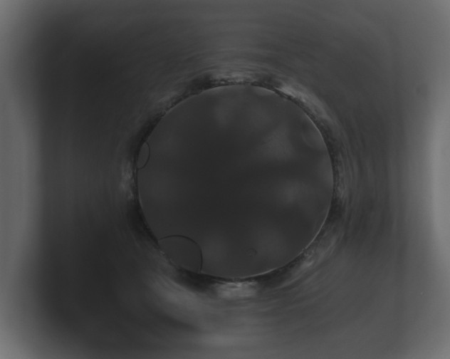 X0000100750465200806261547