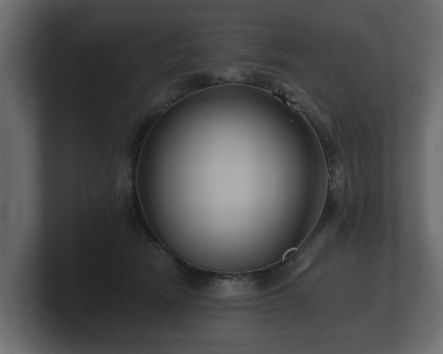 X0000100750466200806261547