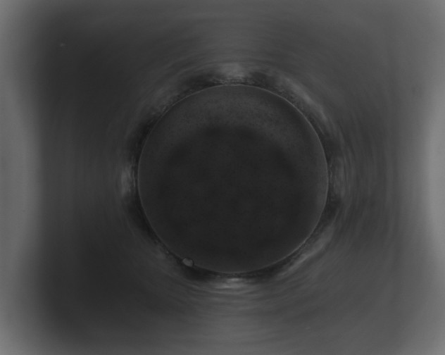 X0000100750467200806261547