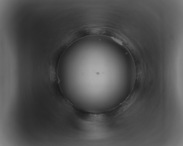 X0000100750469200806261547