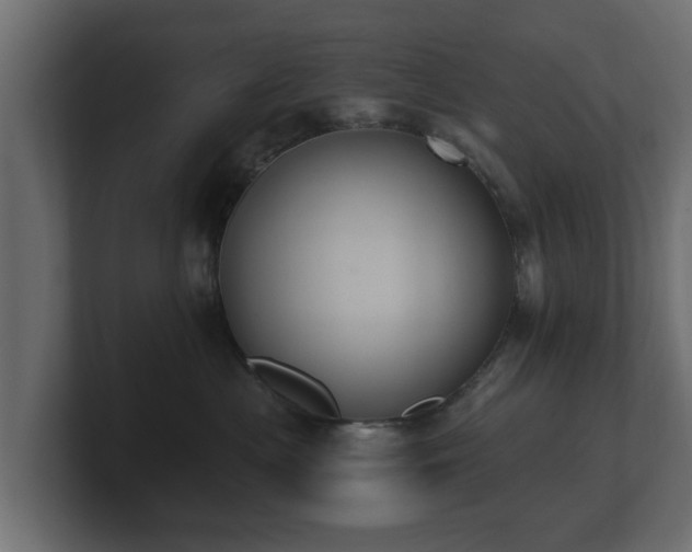 X0000100750477200806261547