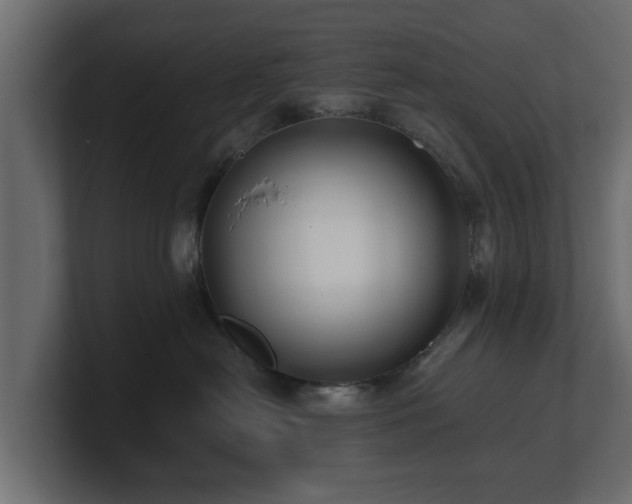 X0000100750478200806261547