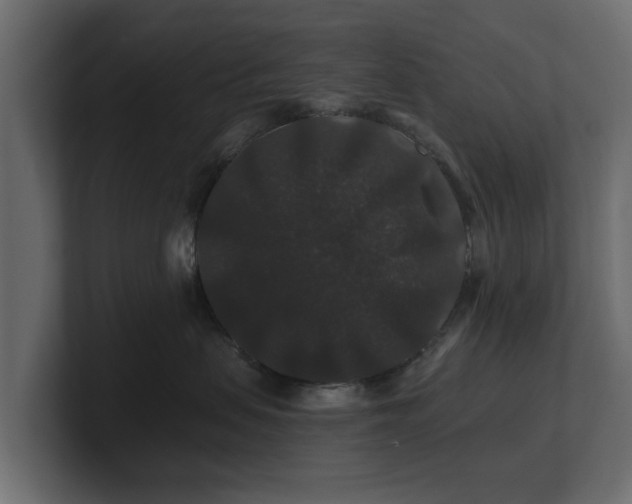 X0000100750479200806261547