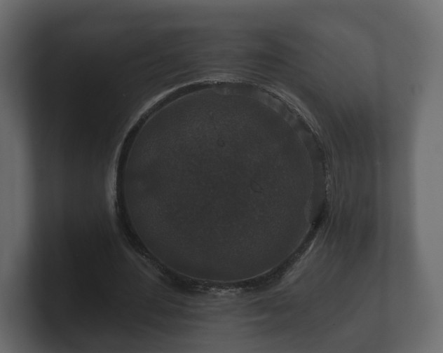 X0000100750484200806261547