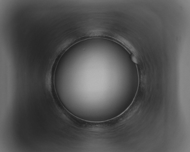 X0000100750485200806261547