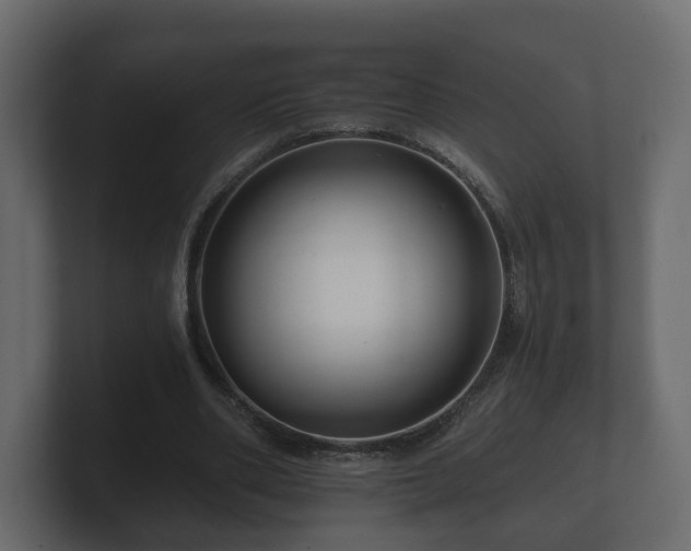 X0000100750486200806261547