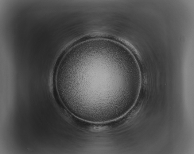 X0000100750487200806261547