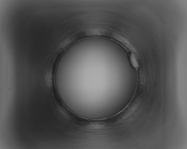 X0000100750489200806261547