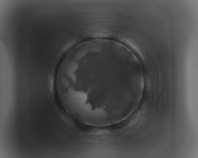 X0000100750491200806261547