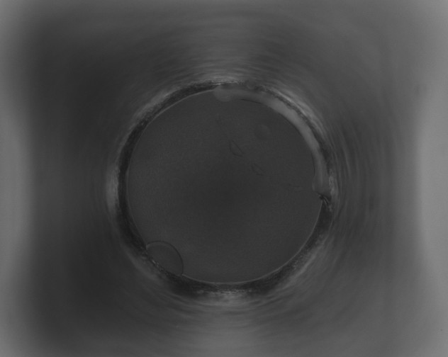 X0000100750492200806261547