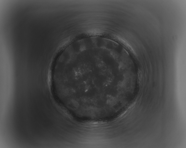 X0000100750494200806261547