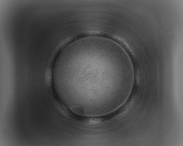 X0000100750495200806261547