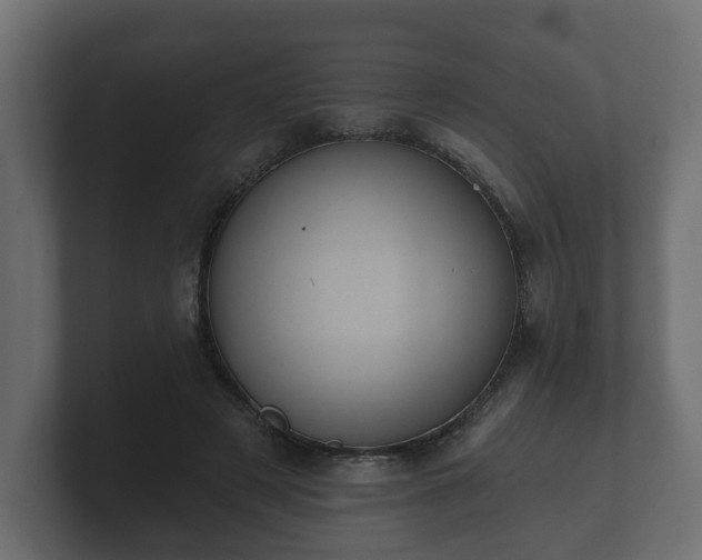 X0000100750497200806261547