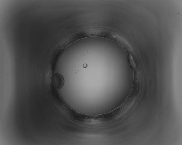 X0000100750498200806261547