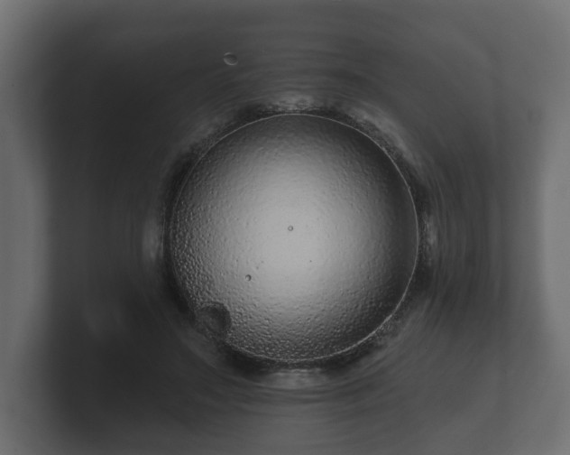 X0000100750499200806261547