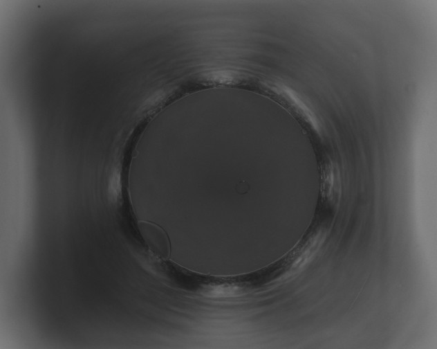 X0000100750500200806261547