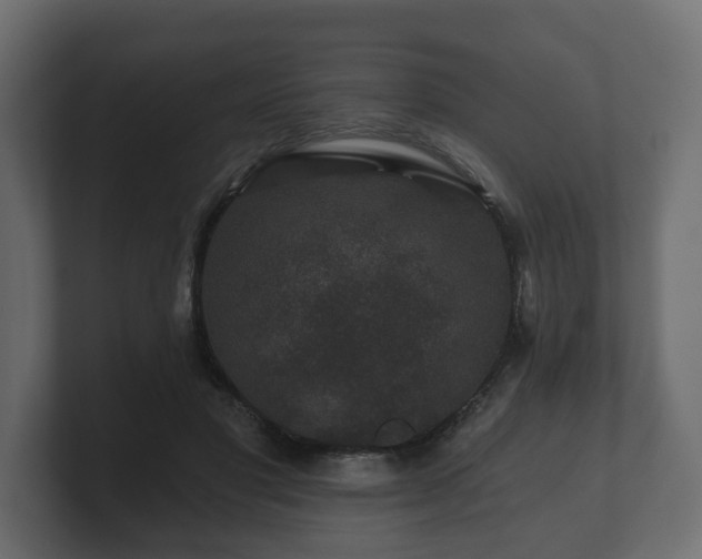 X0000100750501200806261547