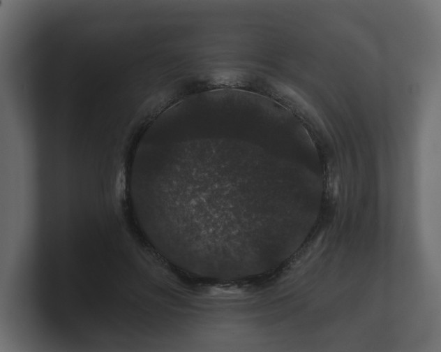 X0000100750502200806261547