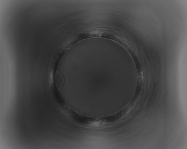 X0000100750504200806261547